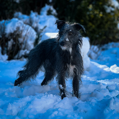 Winter Glow | 8 Adobe Lightroom Presets