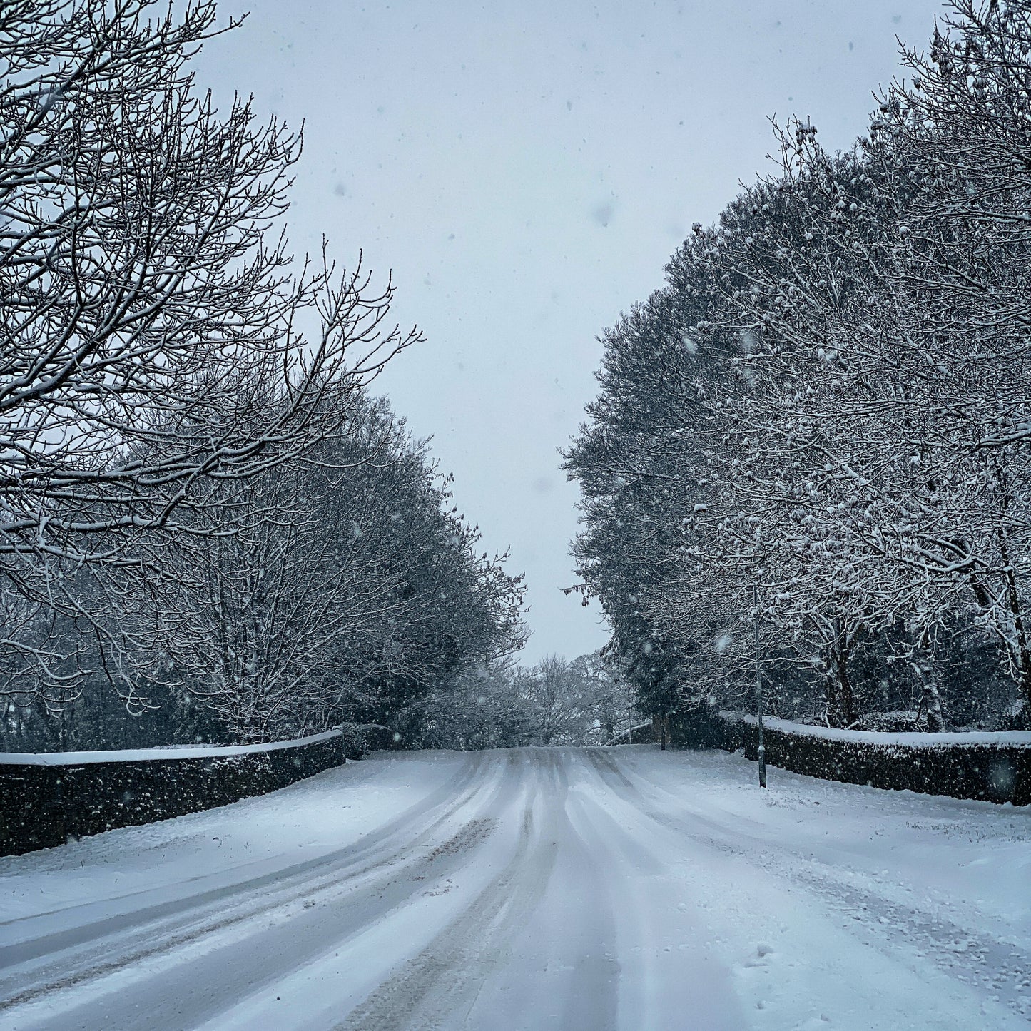 Winter Glow | 8 Adobe Lightroom Presets