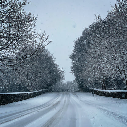 Winter Glow | 8 Adobe Lightroom Presets