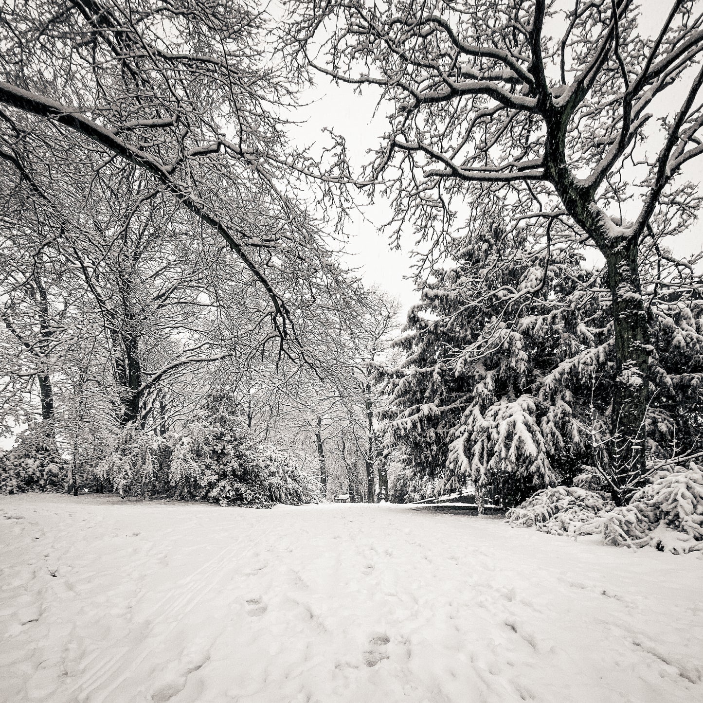 Winter Glow | 8 Adobe Lightroom Presets