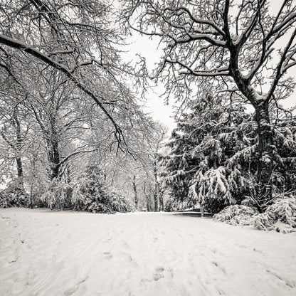 Winter Glow | 8 Adobe Lightroom Presets