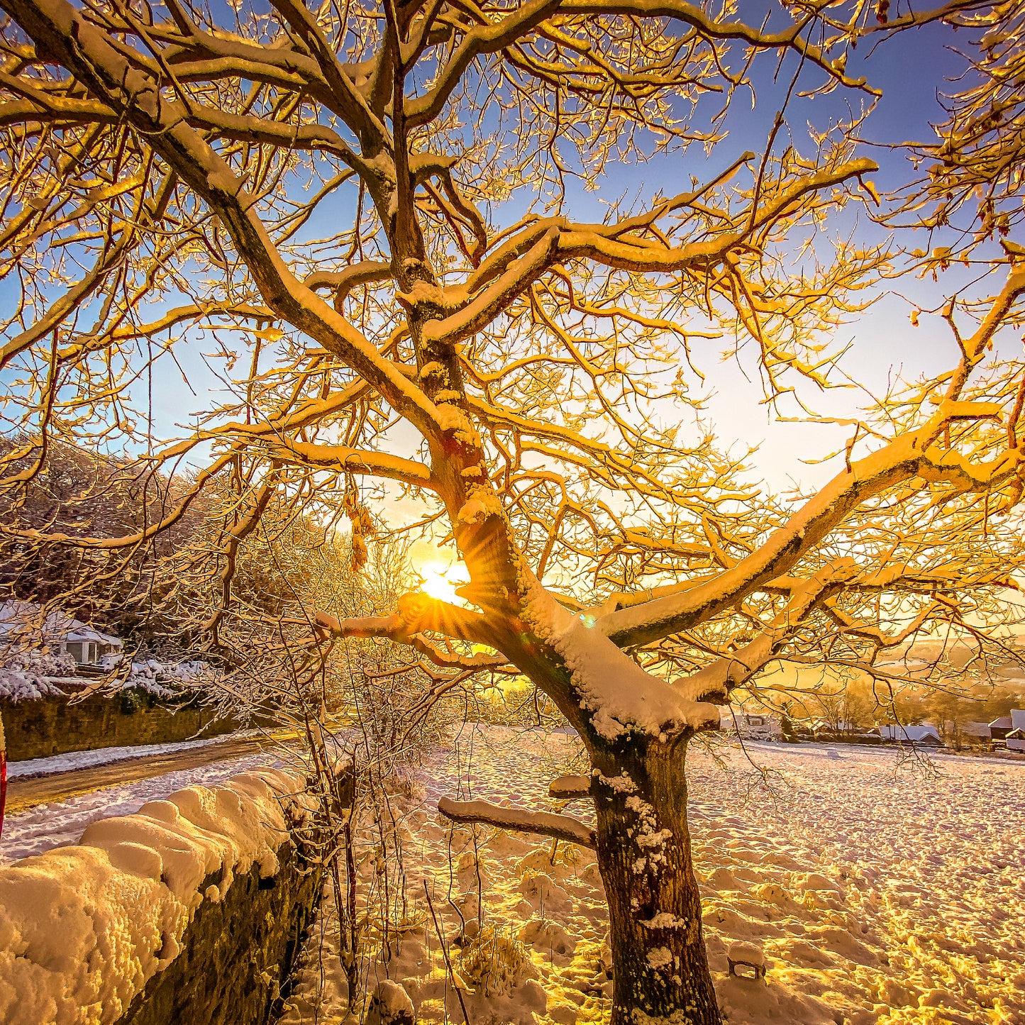 Winter Glow | 8 Adobe Lightroom Presets