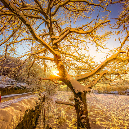 Winter Glow | 8 Adobe Lightroom Presets