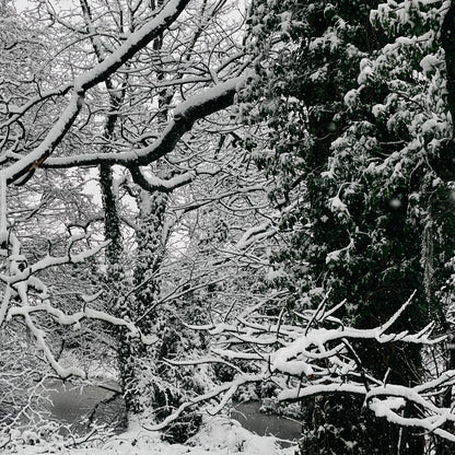 Winter Glow | 8 Adobe Lightroom Presets